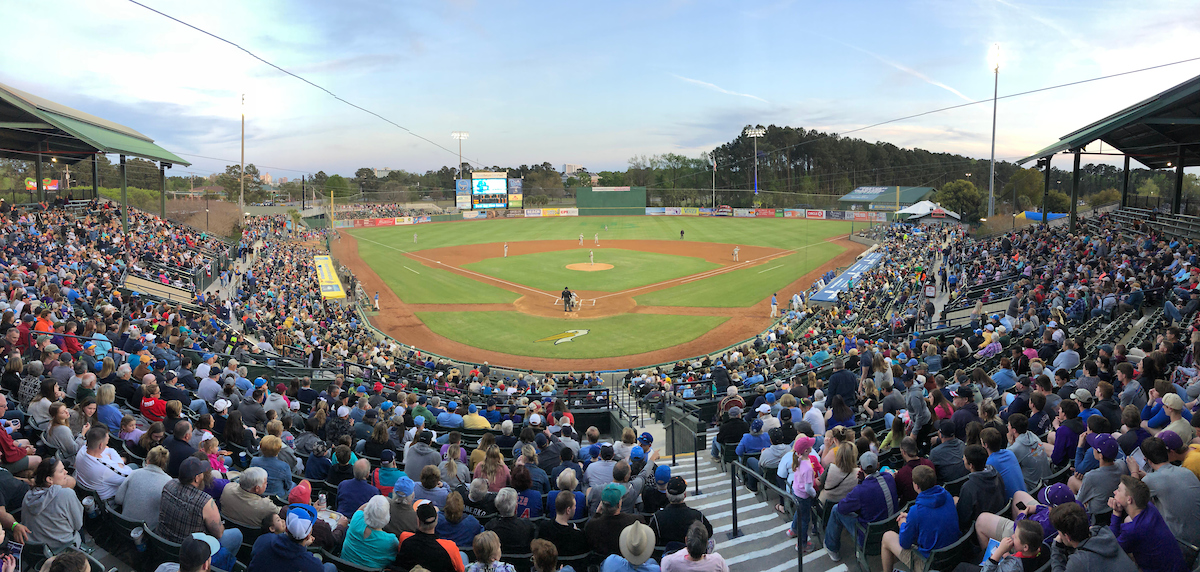 Pelicans 101: Your Guide to Baseball at The Beach | Visit Myrtle Beach